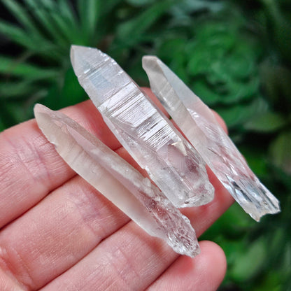 Lemurian Seed Crystal