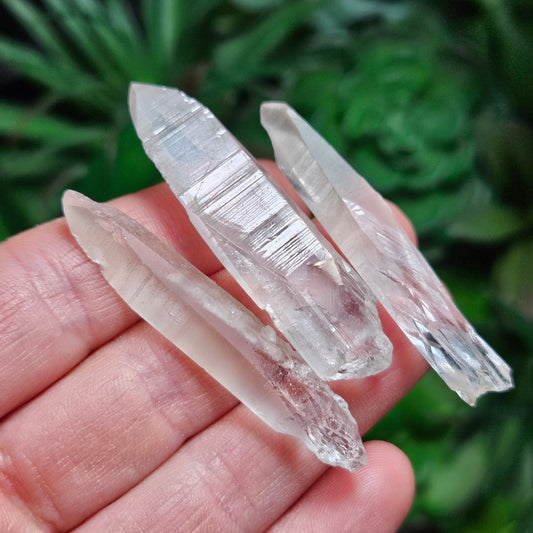 Lemurian Seed Crystal