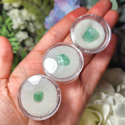 Polished Emerald