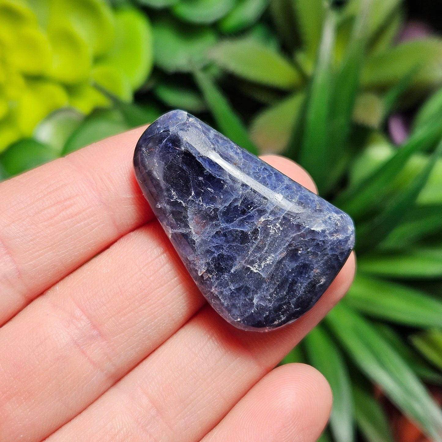 Tumbled Iolite