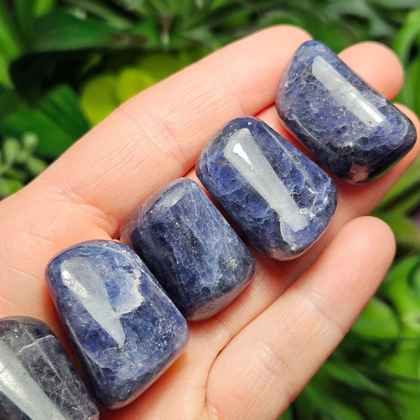 Tumbled Iolite