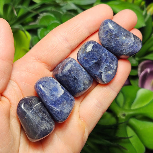 Tumbled Iolite