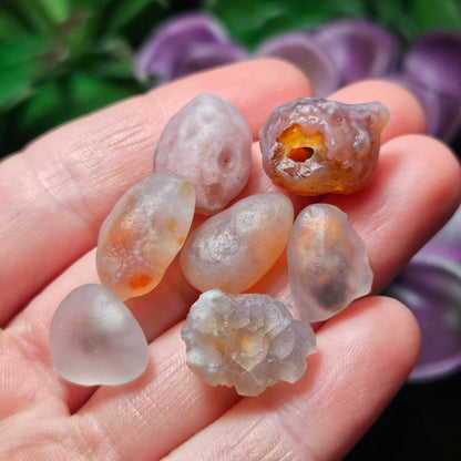 RARE Gobi Agate