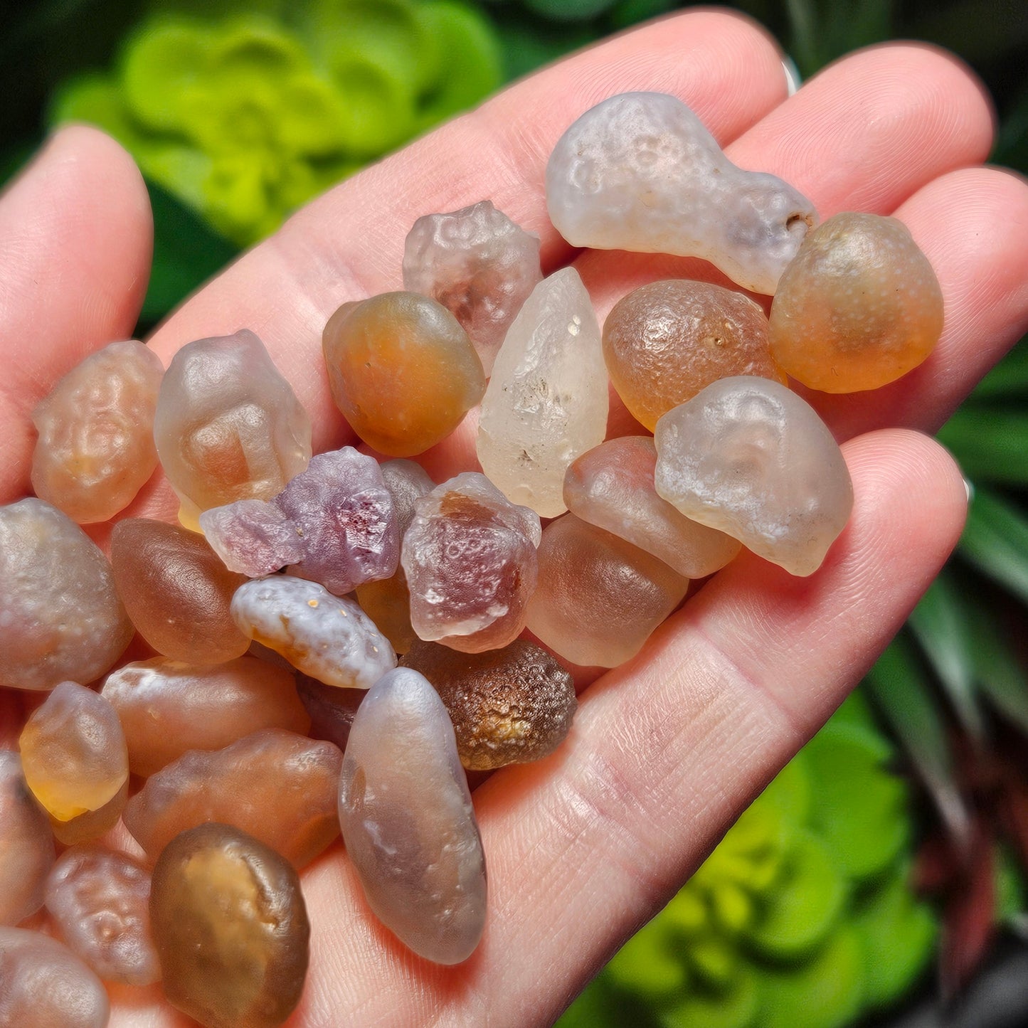 RARE Gobi Agate