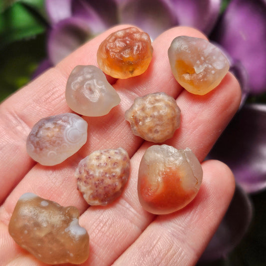 RARE Gobi Agate