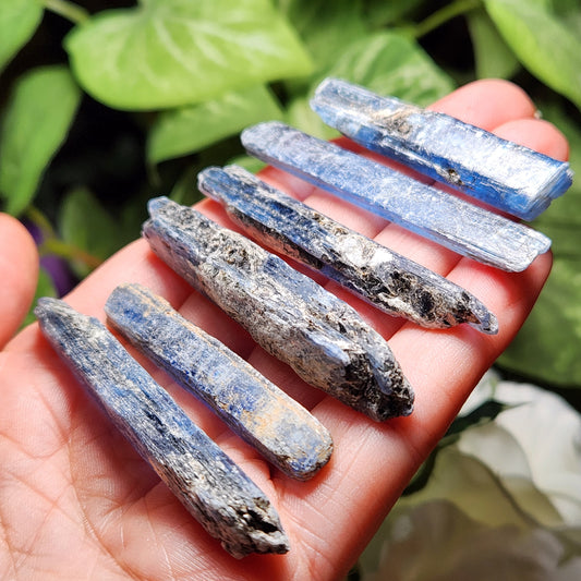 Blue Kyanite with Phlogopite & Black Tourmaline