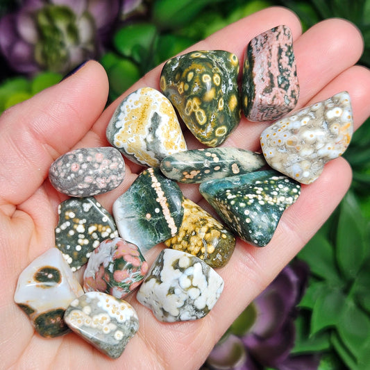 AA Ocean Jasper