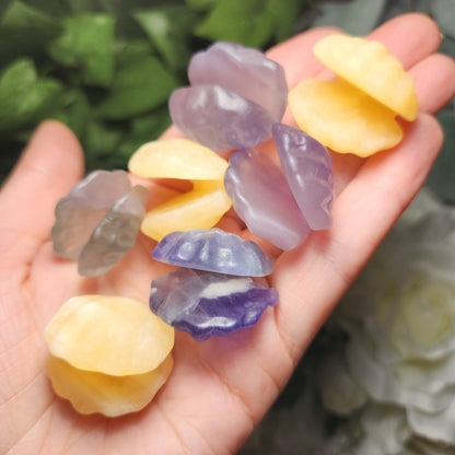 Sea Shell Carving