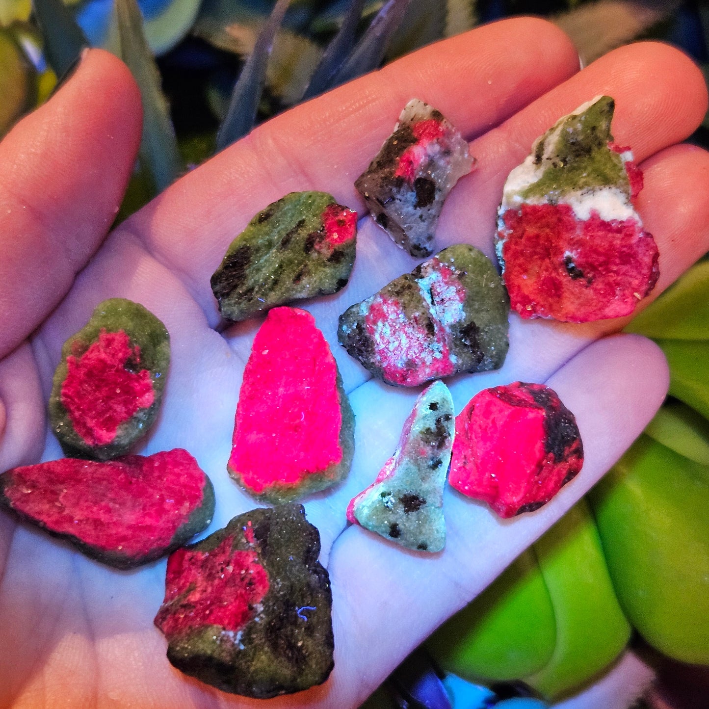 Ruby in Zoisite
