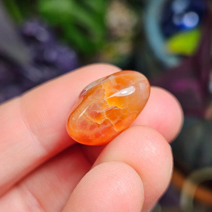 Snakeskin Agate