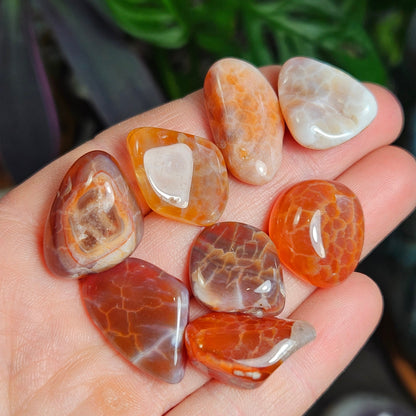 Snakeskin Agate