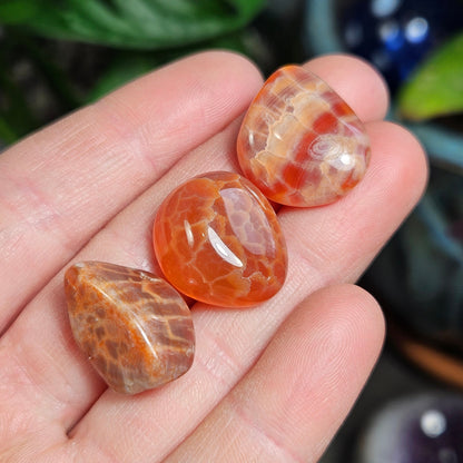 Snakeskin Agate
