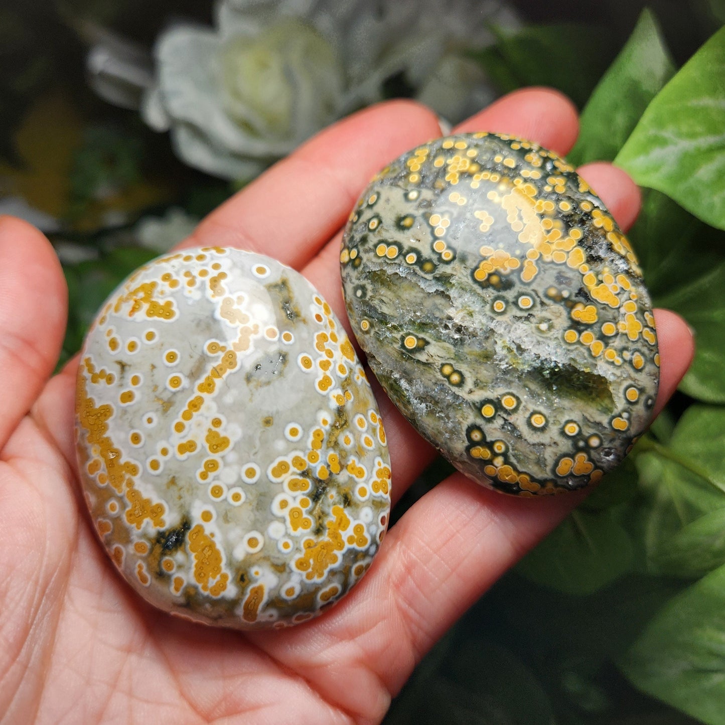 Ocean Jasper Palm Stone