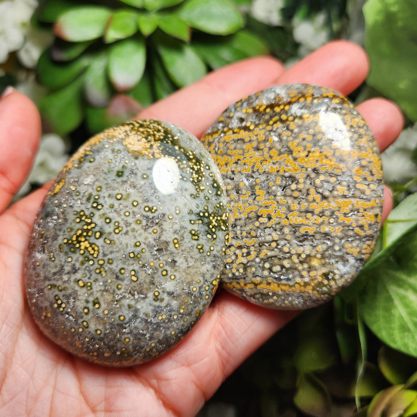 Ocean Jasper Palm Stone