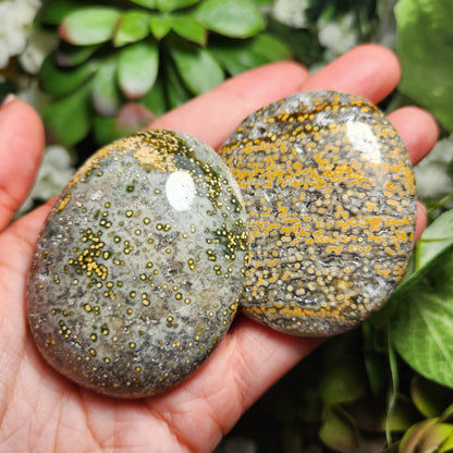 Ocean Jasper Palm Stone
