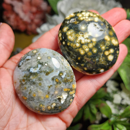 Ocean Jasper Palm Stone