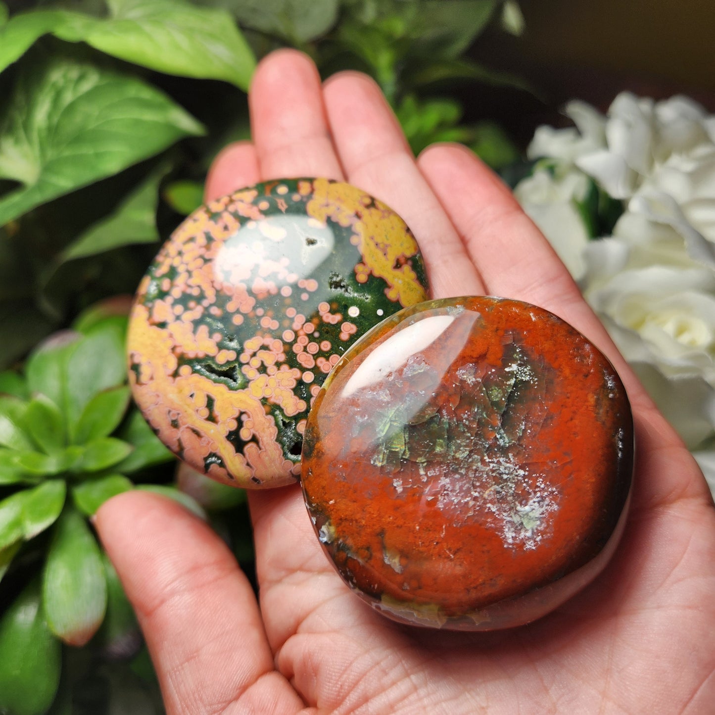 Ocean Jasper Palm Stone