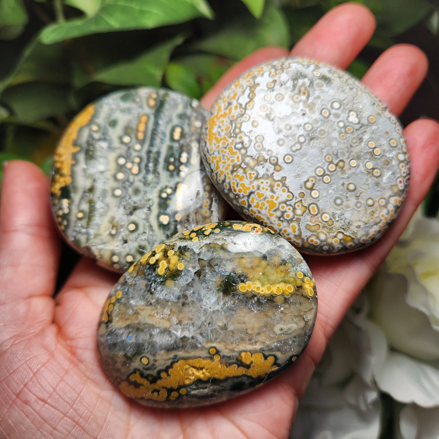 Ocean Jasper Palm Stone