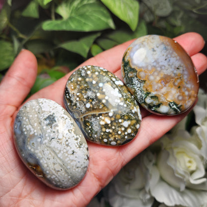 Ocean Jasper Palm Stone