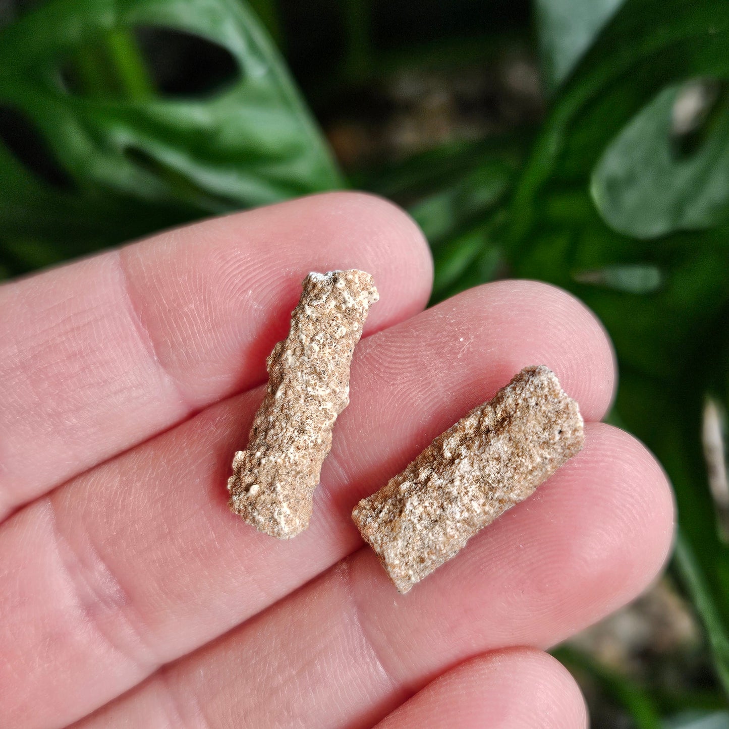 RARE Lightning Fused FULGURITE