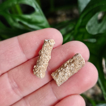 RARE Lightning Fused FULGURITE