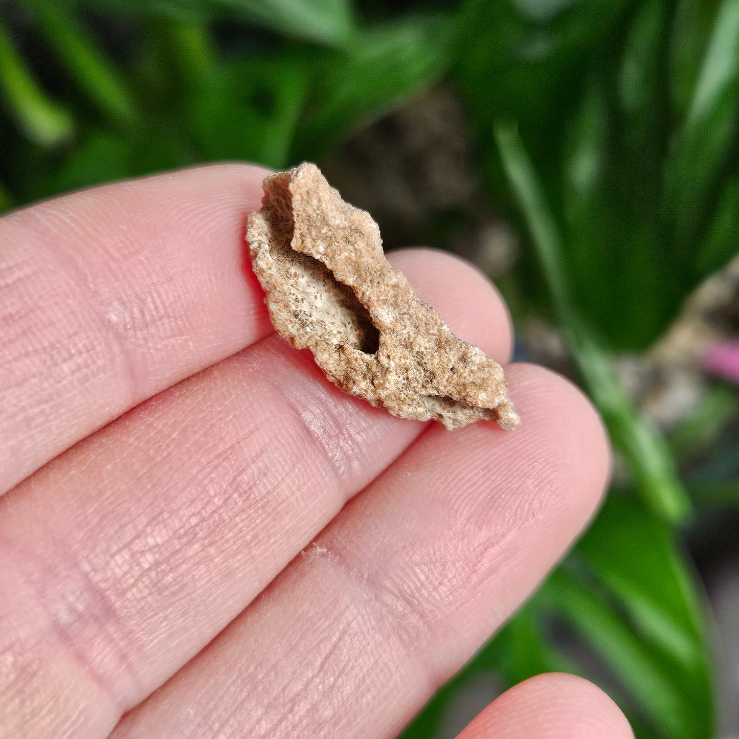 RARE Lightning Fused FULGURITE