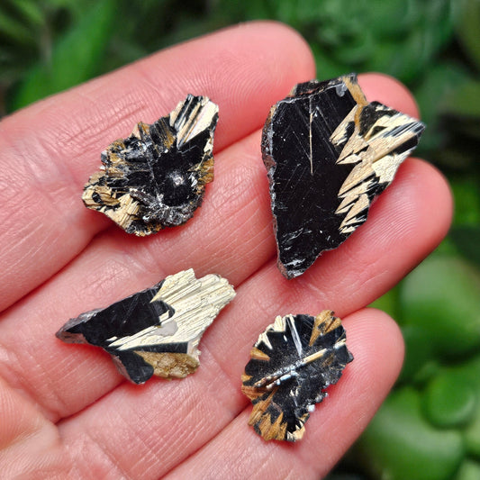 Rutile Star