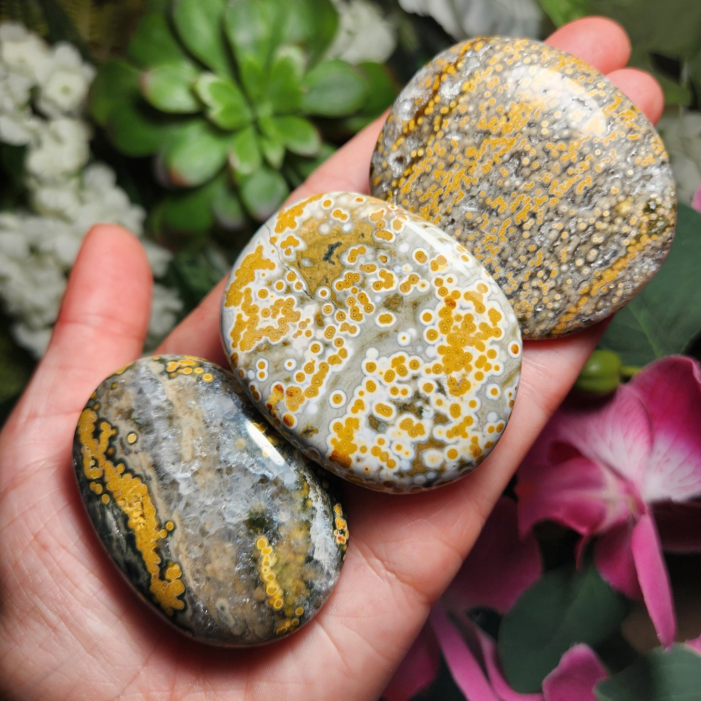 Ocean Jasper Palm Stone