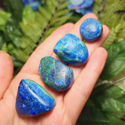 Azurite Malachite Specimen, Tumbled crystal from South Africa