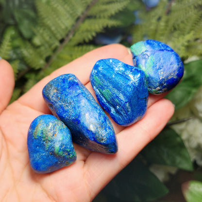 Azurite Malachite Specimen, Tumbled crystal from South Africa