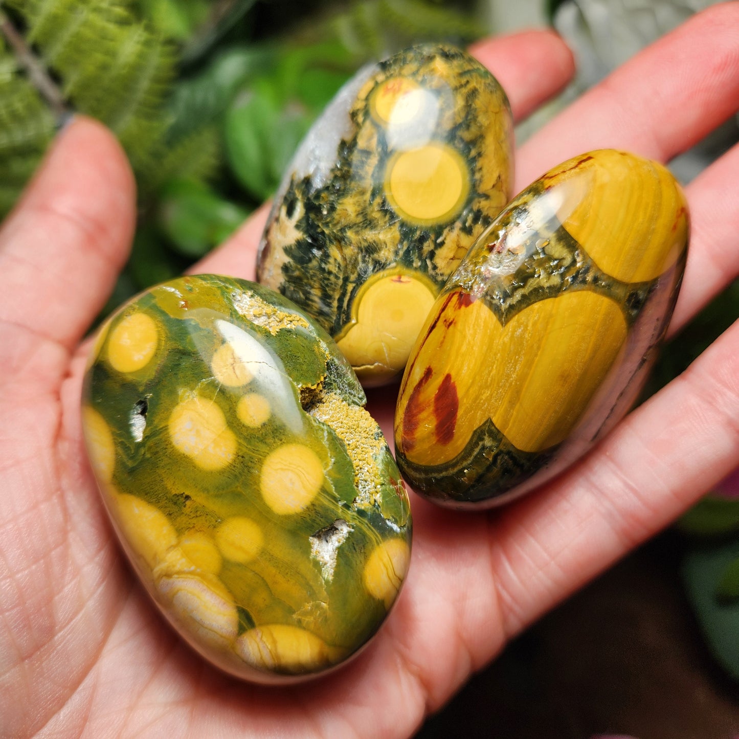 Kabamby Ocean Jasper Palm Stone