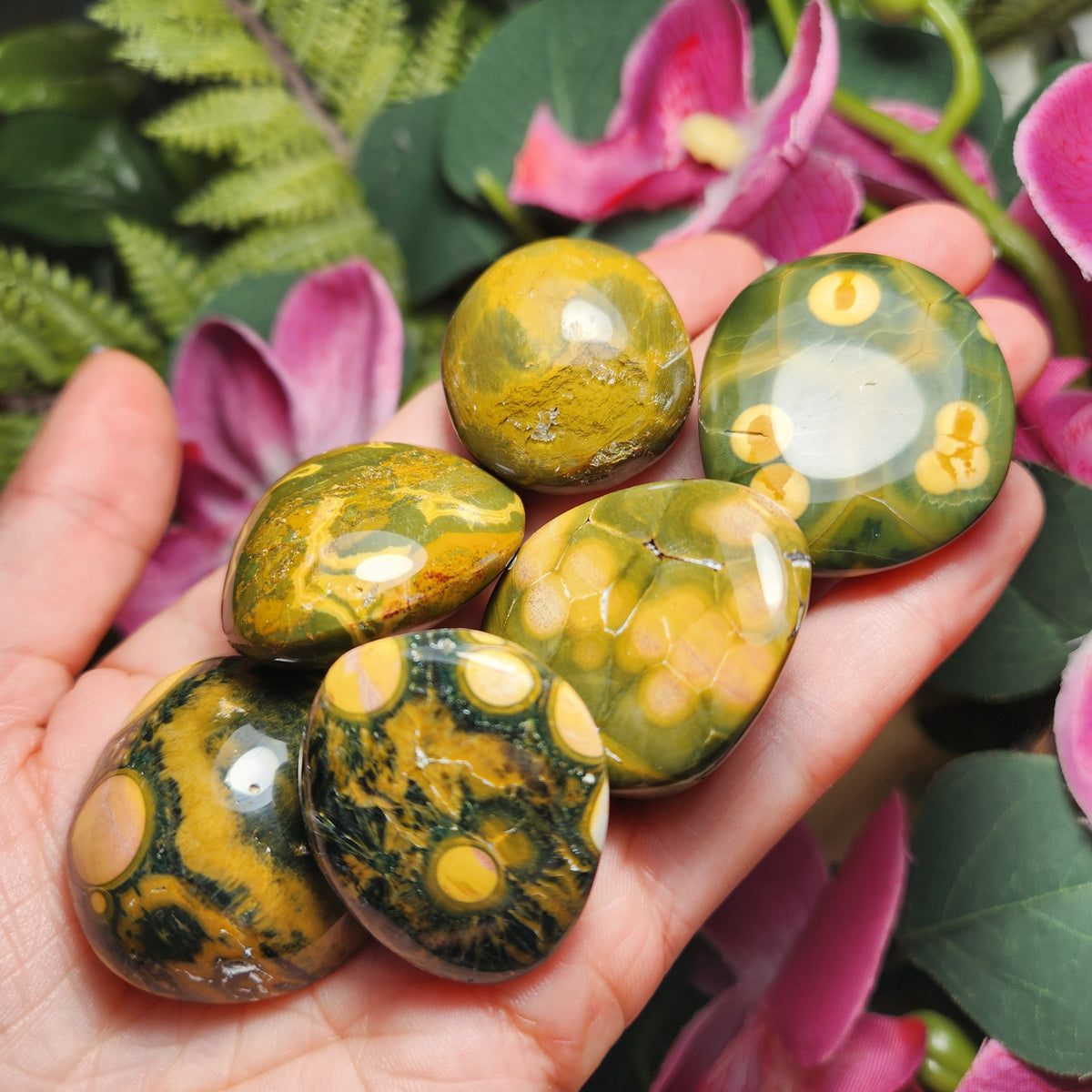 Orbicular Ocean Jasper Specimen from Kabamby – Polished Madagascar Coral Fossil Stone (1.25
