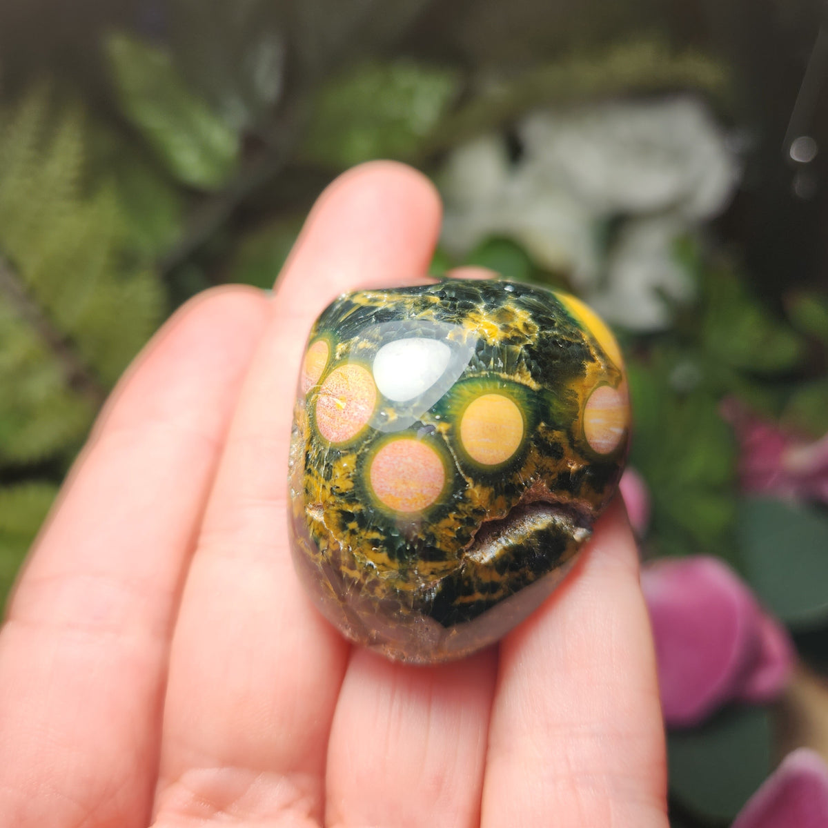 Orbicular Ocean Jasper Specimen from Kabamby – Polished Madagascar Coral Fossil Stone (1.25