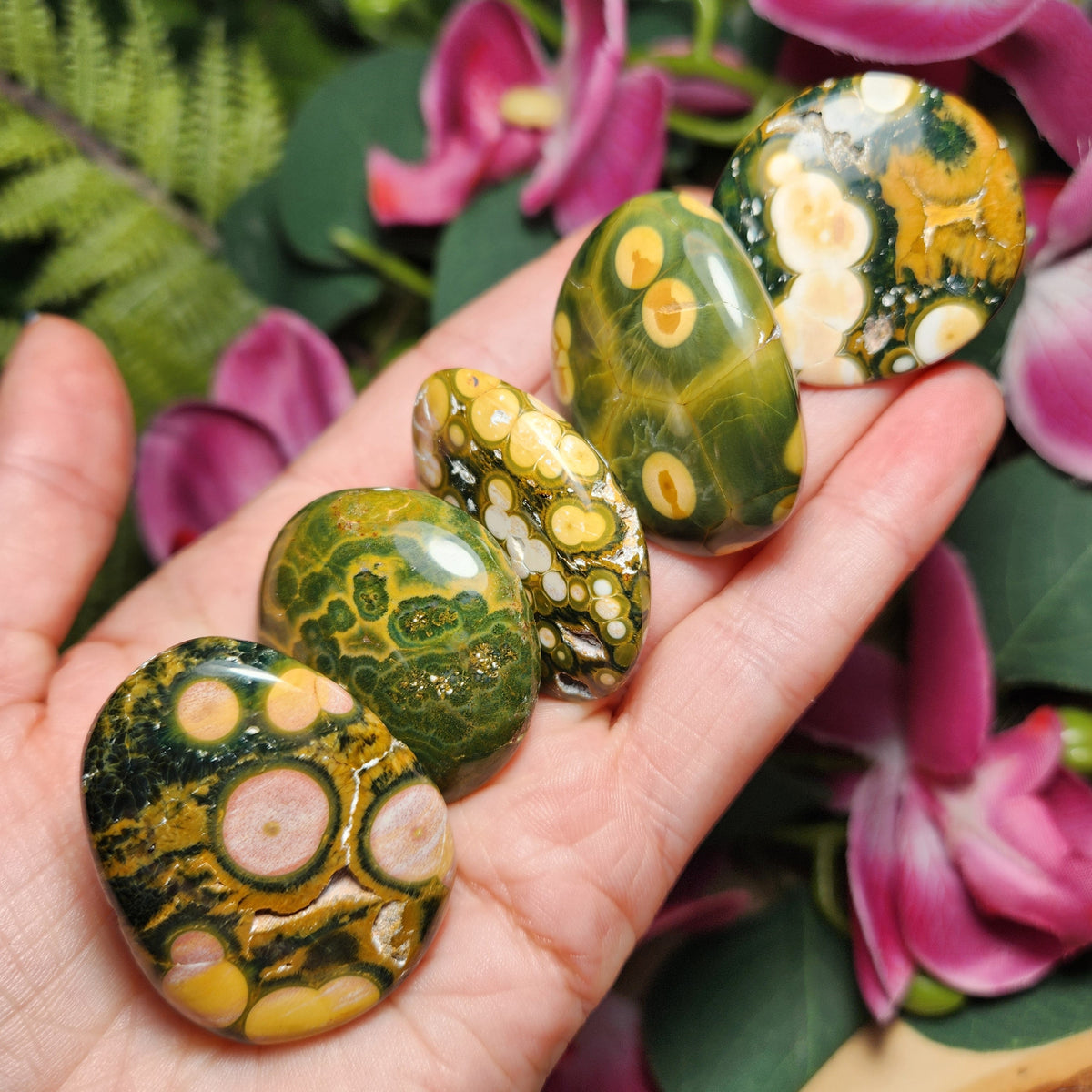 Orbicular Ocean Jasper Specimen from Kabamby – Polished Madagascar Coral Fossil Stone (1.25