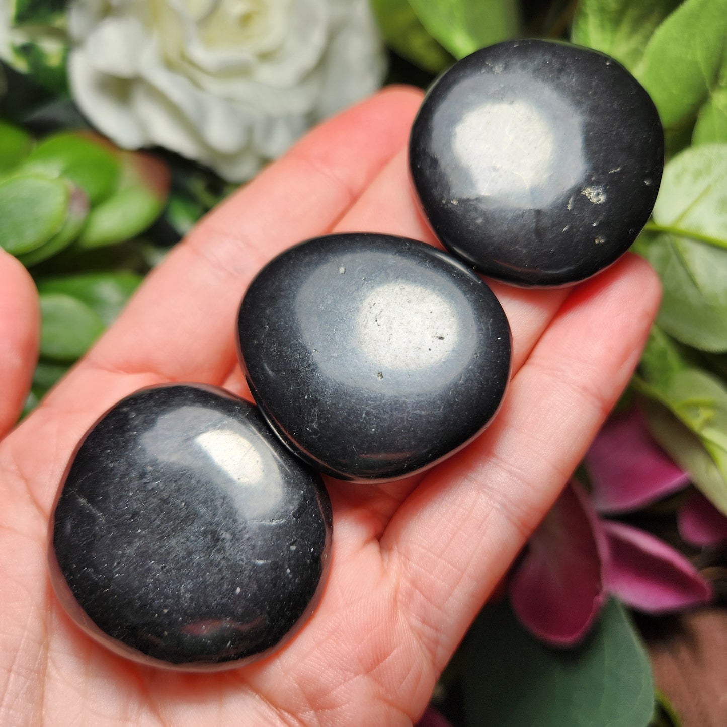 Polished Shungite Crystal, Elite Noble Shungite Disc