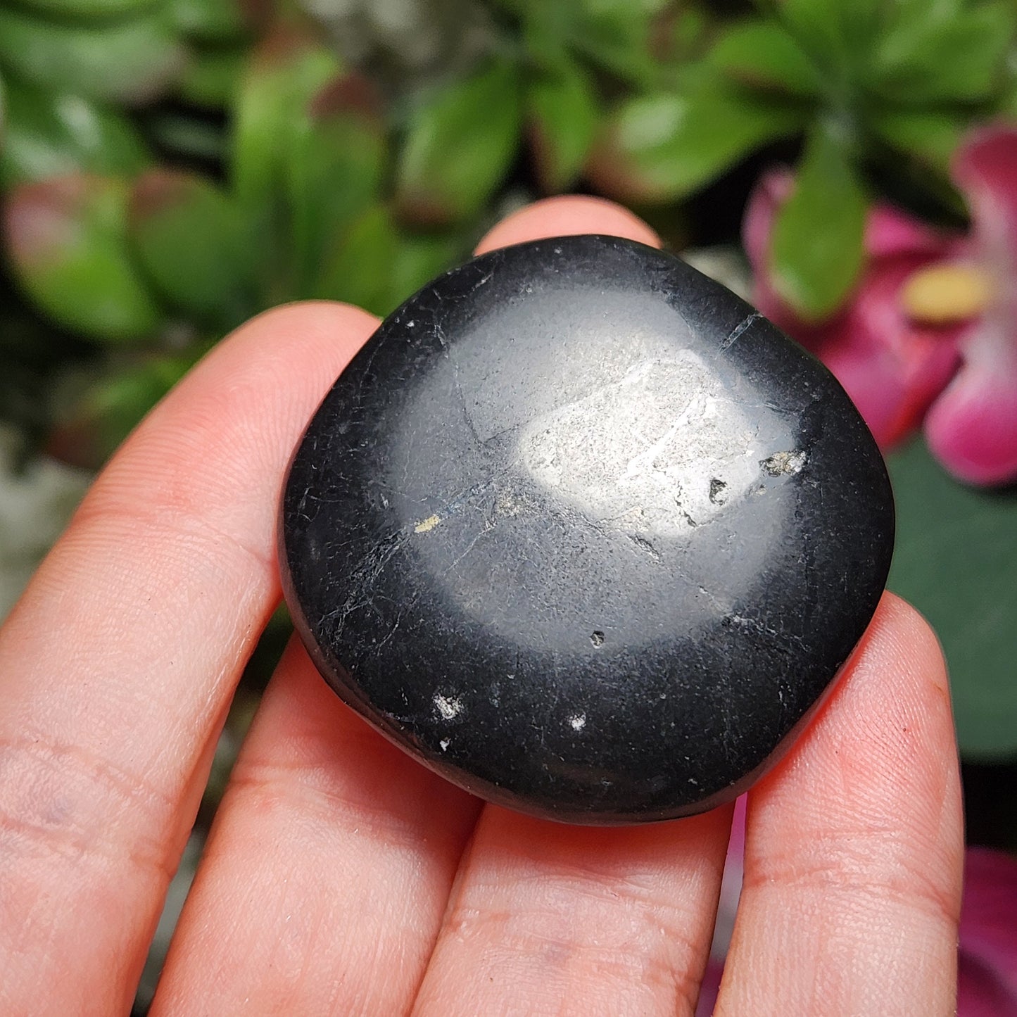 Polished Shungite Crystal, Elite Noble Shungite Disc
