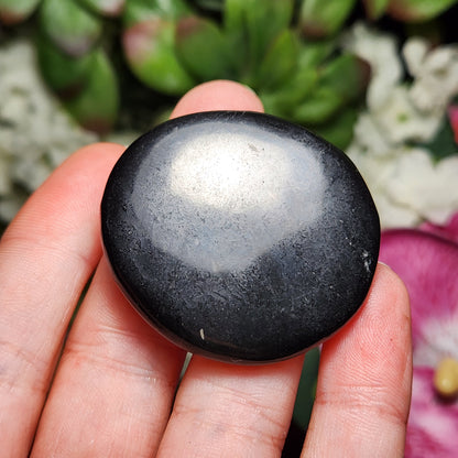 Polished Shungite Crystal, Elite Noble Shungite Disc