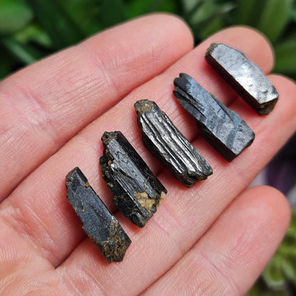 Black Aegirine Crystal