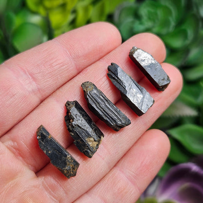 Black Aegirine Crystal