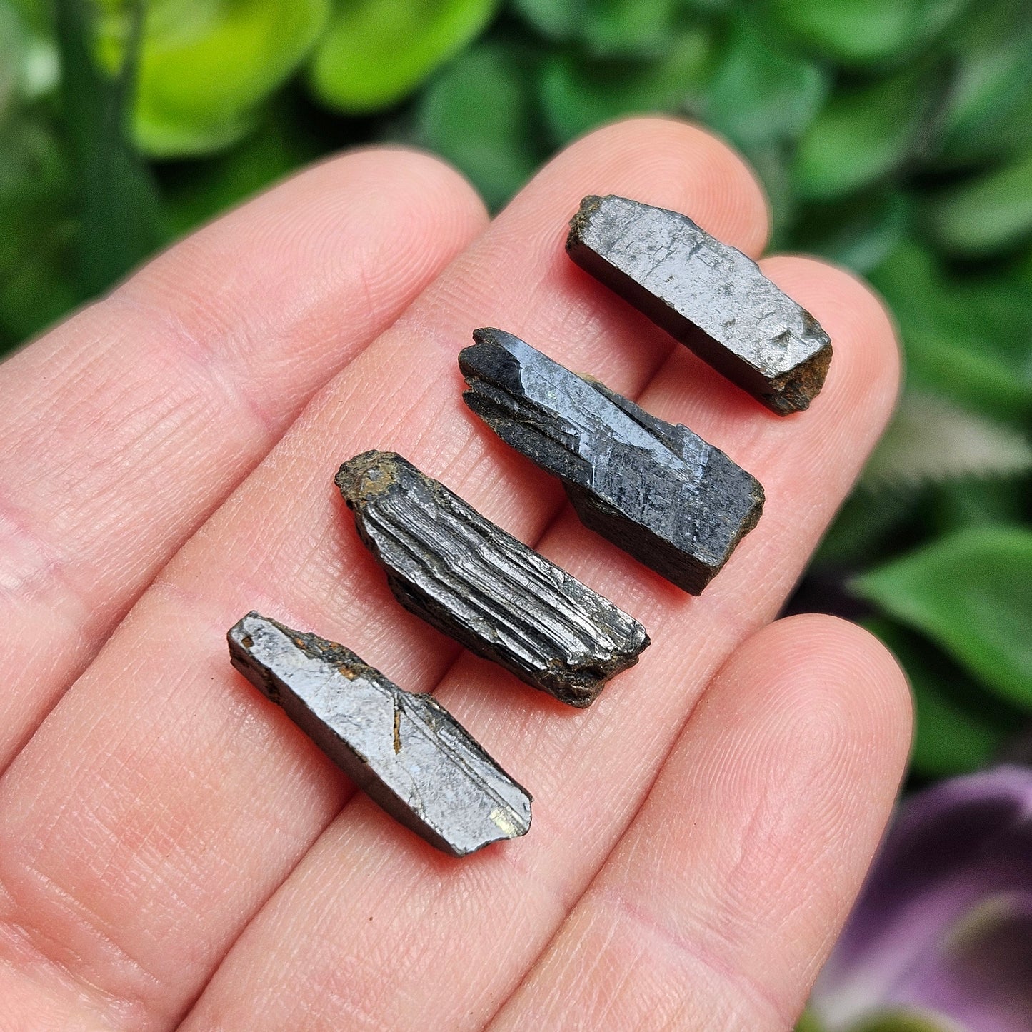 Black Aegirine Crystal