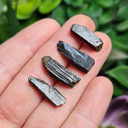 Black Aegirine Crystal