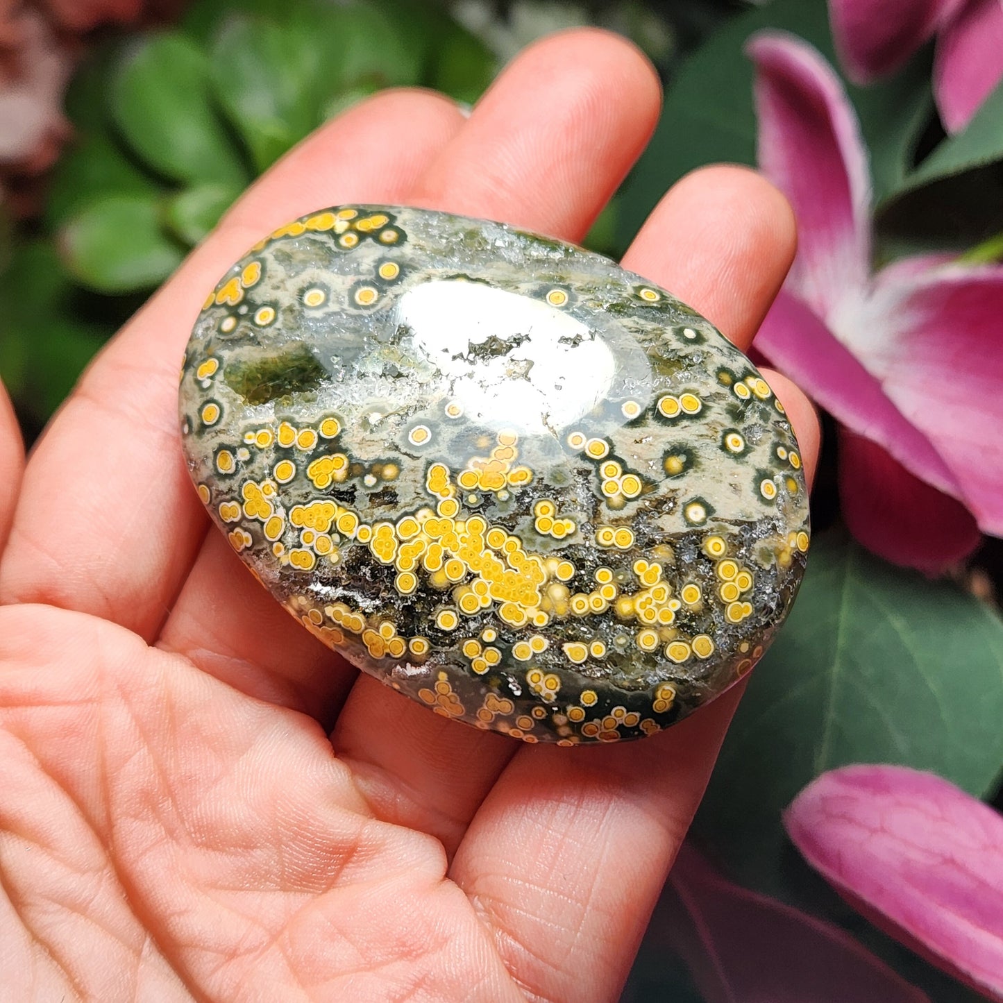 Ocean Jasper Palm Stone