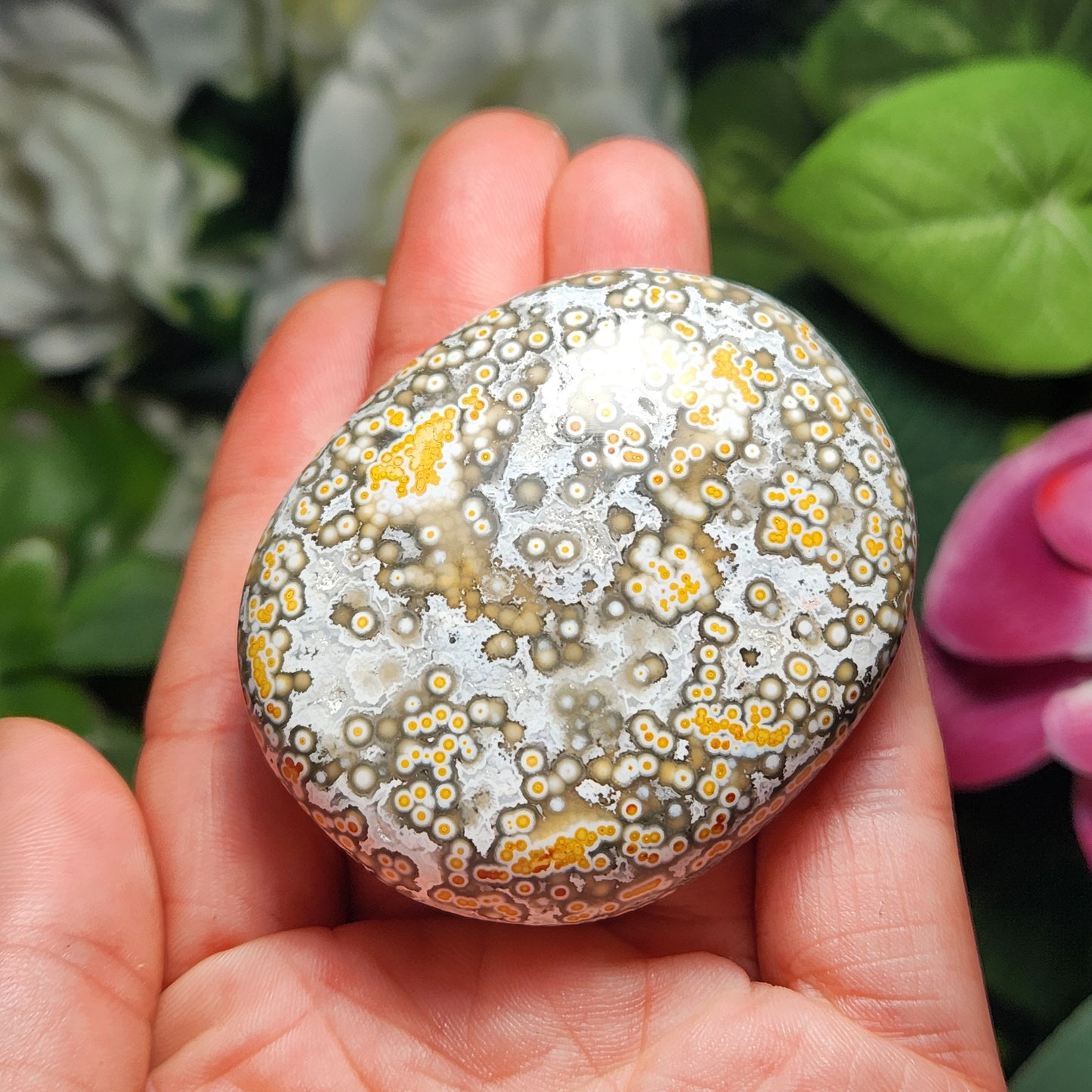 Ocean Jasper Palm Stone