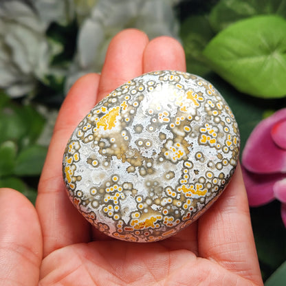 Ocean Jasper Palm Stone