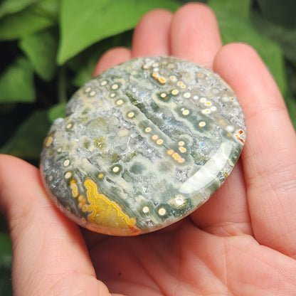 Ocean Jasper Palm Stone
