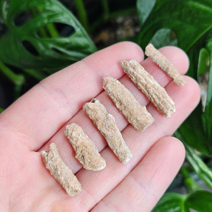 RARE Lightning Fused FULGURITE