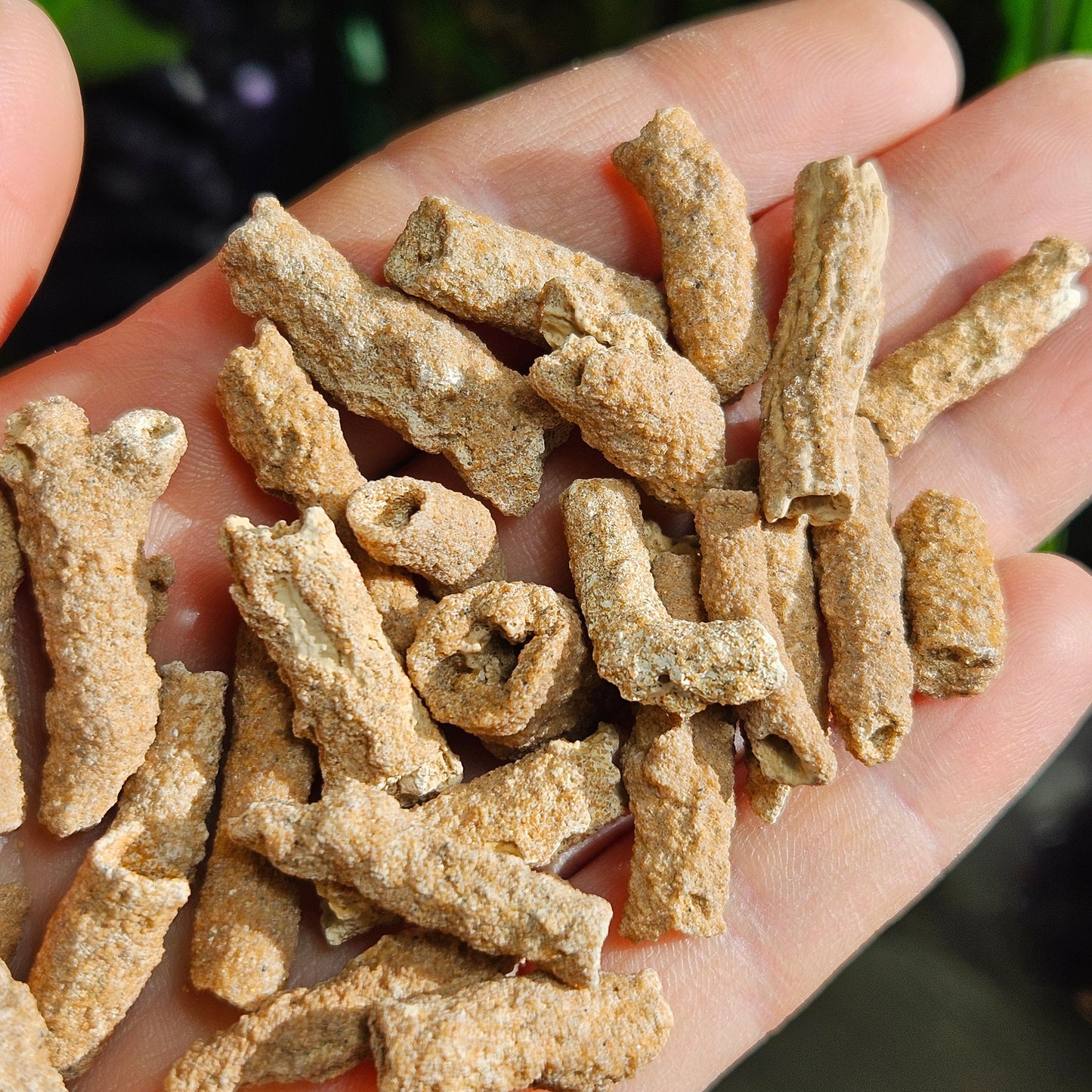 RARE Lightning Fused FULGURITE