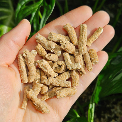 RARE Lightning Fused FULGURITE
