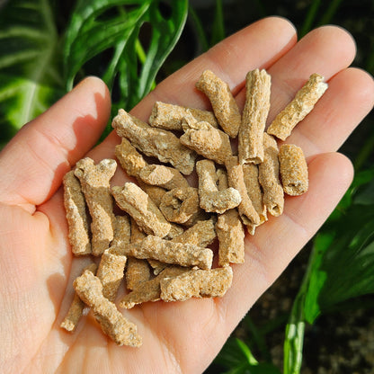 RARE Lightning Fused FULGURITE