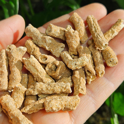 RARE Lightning Fused FULGURITE